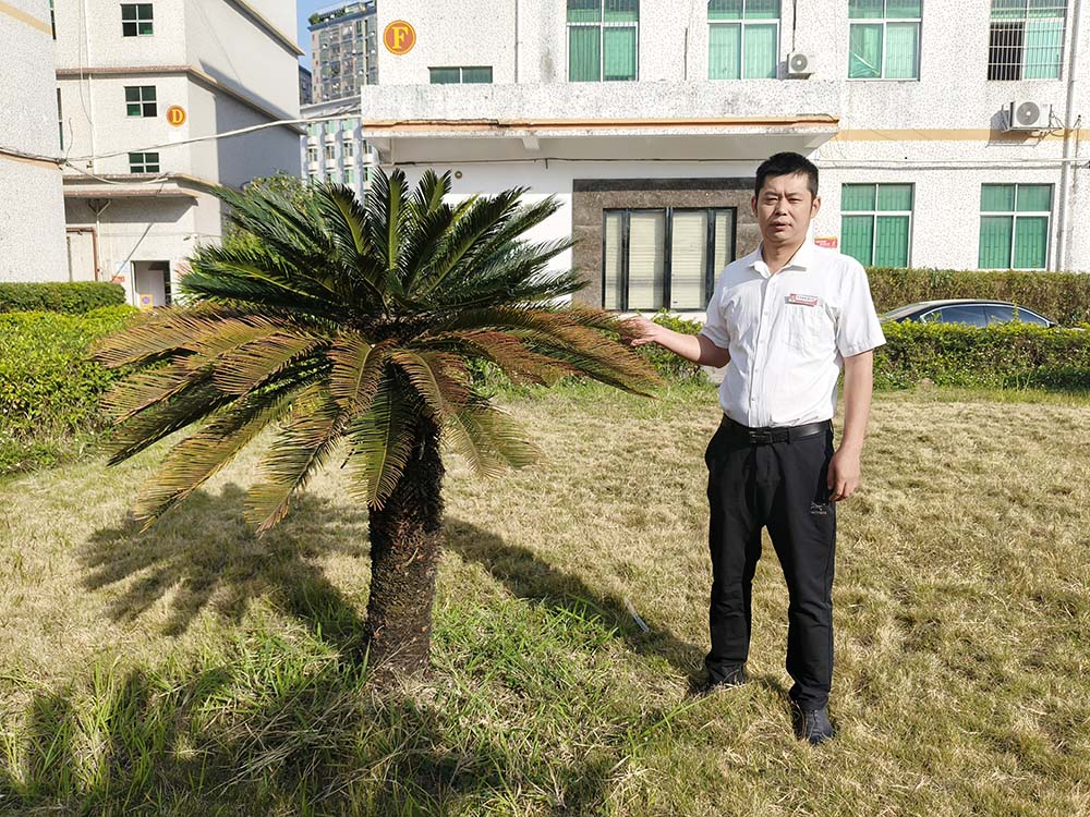 微信圖片_2026-04-28_164551_114-1000.jpg